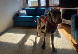 noclegi Gdańsk JLS Apartament z parkingiem przy plaży