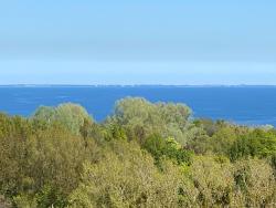 noclegi Sopot Apartament Sopot Oliwia III