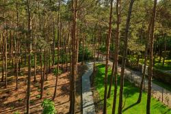 noclegi Władysławowo Apartamenty In - Władysławowo