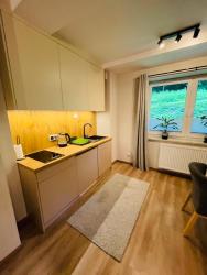 noclegi Porąbka Apartament Góry i Potok