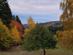 noclegi Piwniczna-Zdrój Domek na Obidzy