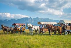 noclegi Zakopane Willa u Perełki