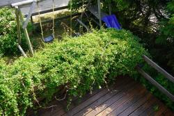 noclegi Jastrzębia Góra Niebieskie Lato - Mieroszyno w pobliżu Jastrzębiej Góry