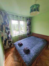 noclegi Gdynia Cozy Sunny Apartment