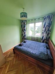 noclegi Gdynia Cozy Sunny Apartment