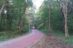 noclegi Kołobrzeg Apartament Sedina Osiedle Polanki