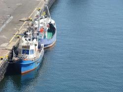 noclegi Gdynia Sea Towers Gdynia Pomerania