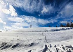 noclegi Ustrzyki Dolne Siedlisko Liskowate - Bieszczady