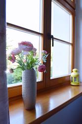 noclegi Sopot Victus Apartamenty, Apartament Home Sopot