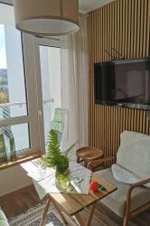 noclegi Ustroń HEARTH HILL VIEW APARTMENT