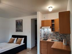 noclegi Zakopane Apartament Holny