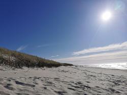 noclegi Lubiatowo Lubia Apartments baltic sea, garden ,parking ,dog firendly, in Lubiatowo