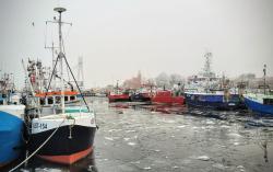 noclegi Ustka Apartament DANA piękna plaża wydmy las