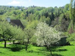 noclegi Przesieka Rony Villa - In the middle of nature