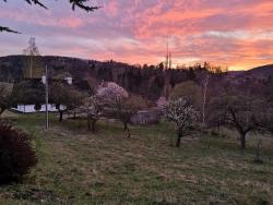 noclegi Przesieka Rony Villa - In the middle of nature