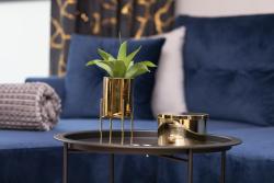 noclegi Gdynia Apartments Beaufort Estate by Noclegi Renters