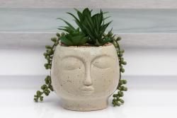 noclegi Międzyzdroje Spacious Apartment near Wolin National Park by Noclegi Renters