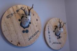 noclegi Karpacz APT. Jackalope No.6