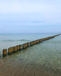 noclegi Hel Glamping Hel - nowa lokalizacja - kemping Camp Hel - z prywatnym jacuzzi