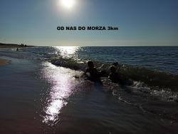 noclegi Jastrzębia Góra Pod Wierzbą - Mieroszyno