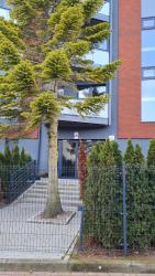 noclegi Ustronie Morskie DAIRA APARTMENTs