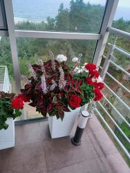 noclegi Dziwnówek Apartament z widokiem na morze