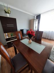 noclegi Busko-Zdrój Słoneczny Apartament w Busku-Zdroju