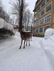 noclegi Zakopane Nauczycielskie Centrum