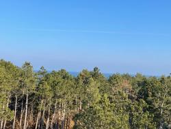 noclegi Rogowo Klif Apartamenty Shellter Rogowo