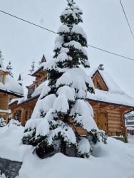 noclegi Zakopane Przytulny Domek I