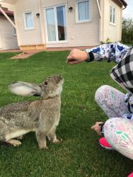 noclegi Łeba Domek letniskowy u Izy