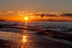 noclegi Mrzeżyno Lighthouse Mrzeżyno - Jantar Apartamenty