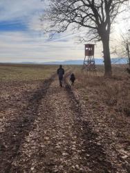 noclegi Leśna Górska Ostoja pole kempingowo- kamperowe