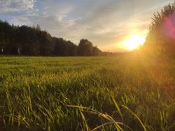 noclegi Leśna Górska Ostoja pole kempingowo- kamperowe