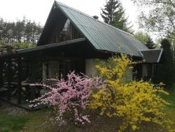 noclegi Płaska Cottage house-Augustow Primeval Forest, near lake