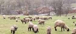 noclegi Komańcza K85 Komańcza Baza Noclegowa Wypadowa Bieszczady Beskid Niski