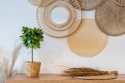 noclegi Kołobrzeg Green Boho Sienkiewicza