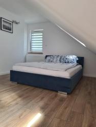 noclegi Międzywodzie Apartament w sosnowym lesie