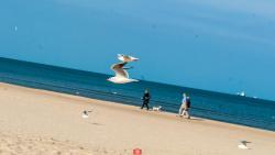 noclegi Trzęsacz Park Willa Trzęsacz