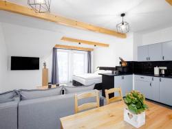 noclegi Zakopane Studio Apartment with Mountain View