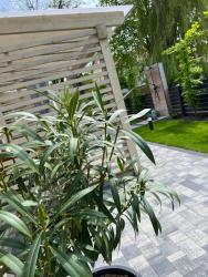 noclegi Dziwnów Apartamenty Naturapart