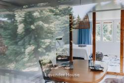 noclegi Osieki Lavender House