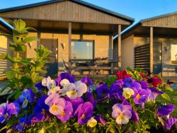 noclegi Jezierzany Domki Wczasowe Nidia