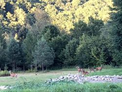 noclegi Uście Gorlickie Chabrowo - dom 220m2 nad jeziorem Klimkówka, Beskid Niski