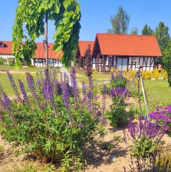 noclegi Ustka Lawendowy Zakątek Machowino- Domek Beate