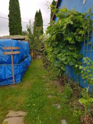 noclegi Kołczewo Agroturystyka Jagoda