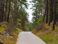 noclegi Krynica Morska Dom Wczasowy Gallus- pokoje z klimatyzacją