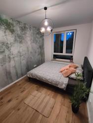 noclegi Augustów Apartament Leśna Mandala