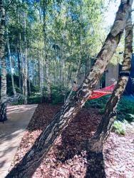 noclegi Ciekocino Między Brzozami Domy w lesie