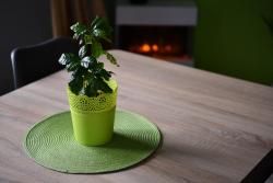 noclegi Gdynia Pokój w apartamencie dwupokojowym ze współdzieloną kuchnią i łazienką